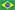 Português